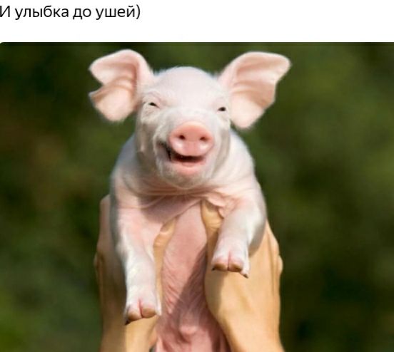 улыбка до ушей