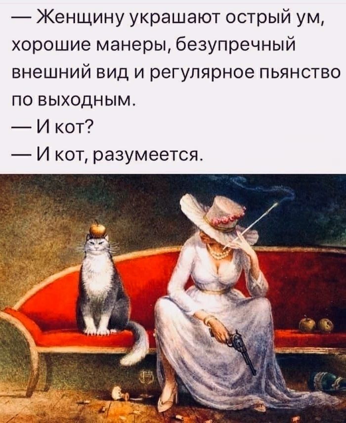 Женщину украшают острый ум хорошие манеры безупречный внешний вид и регулярное пьянство по выходным И кот И кот разумеется