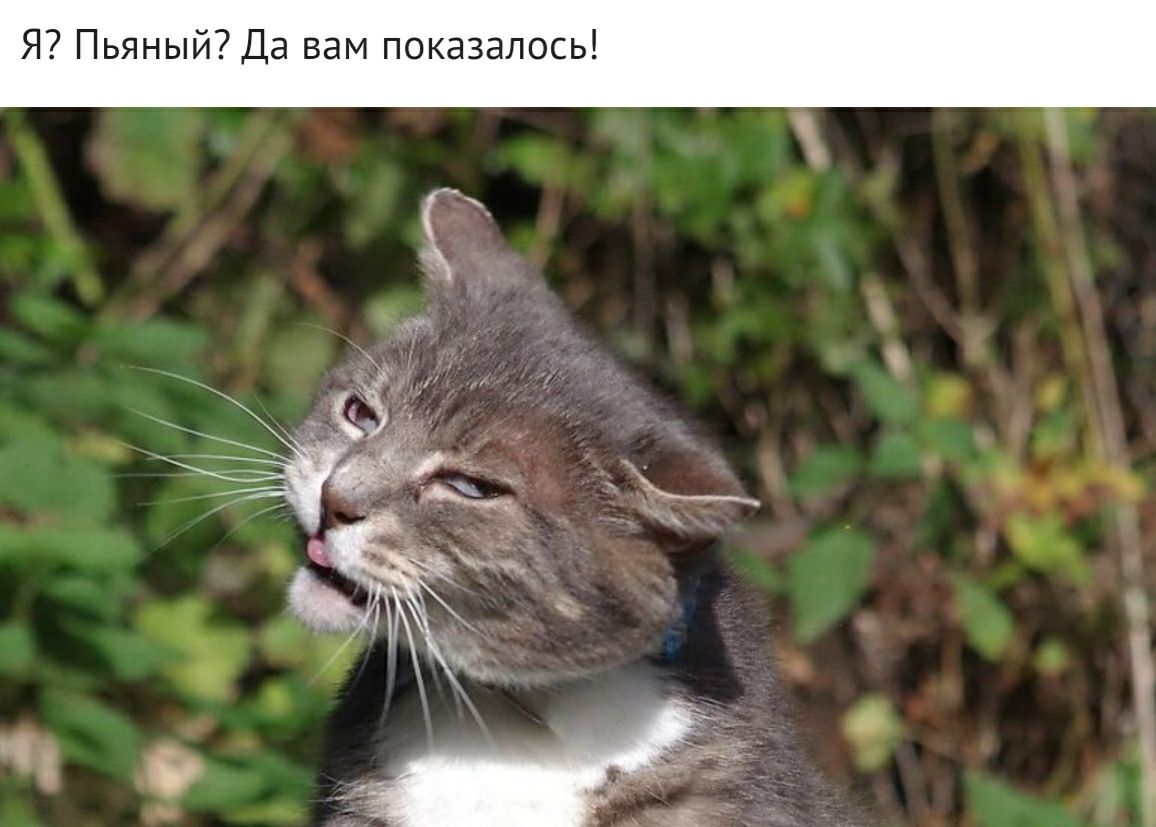 Я Пьяный Да вам показалось