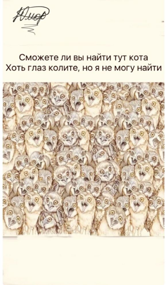 ИТИ ТУТ кота НО Я не МОГУ НЗИТИ Сможете ЛИ ВЫ на ХОТЬ ГЛЗЗ копите