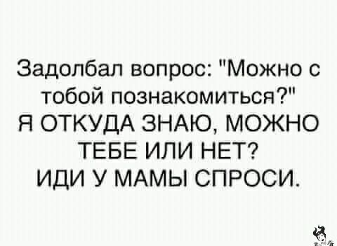 Задолбал вопрос Можно с тобой познакомиться Я ОТКУДА ЗНАЮ МОЖНО ТЕБЕ ИЛИ НЕТ ИДИ У МАМЫ СПРОСИ