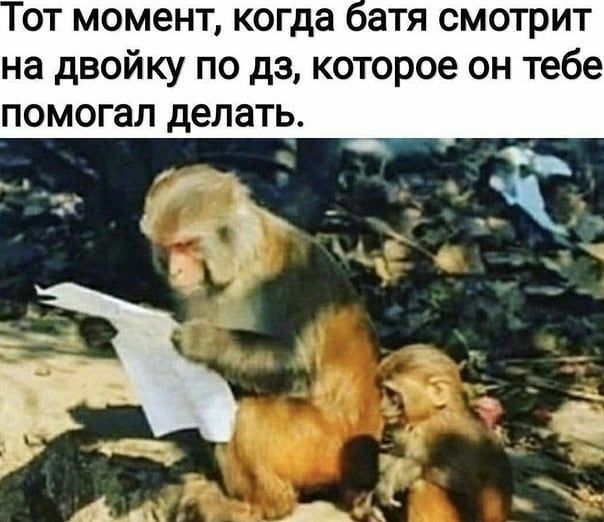 ОТ МОМЗНТ когда атя СМОТРИТ на двойку по дэ которое он тебе помогал делать