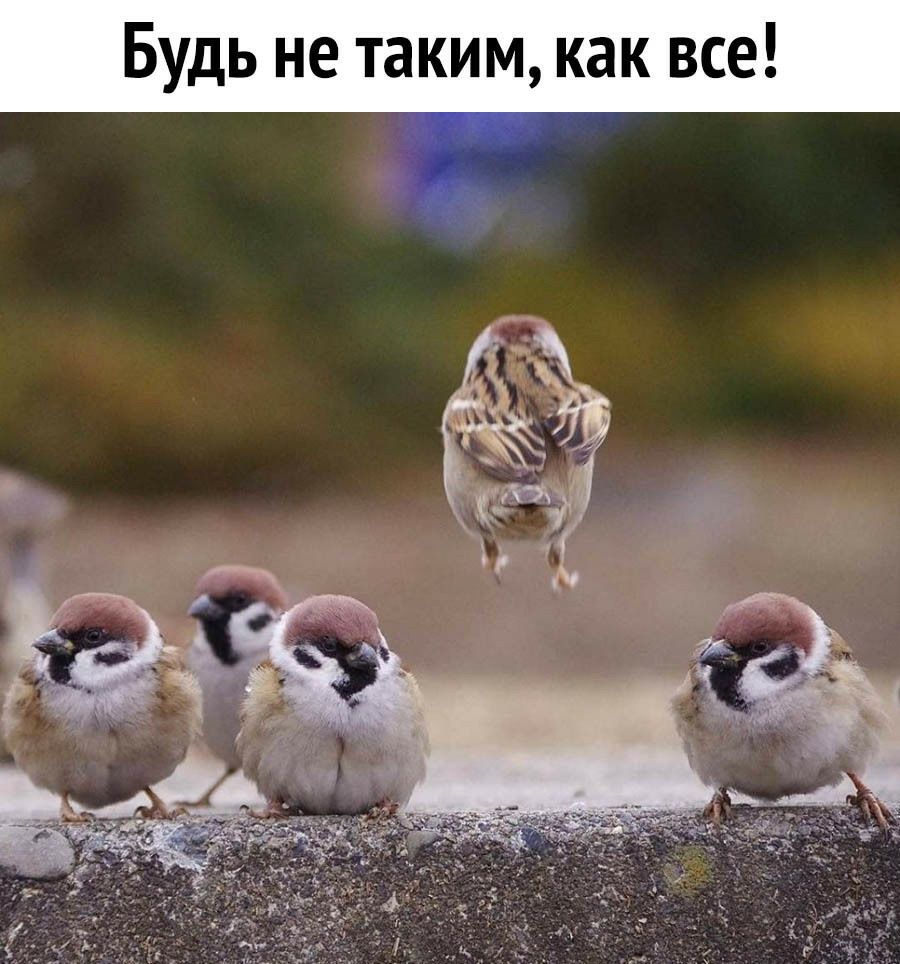 Будь не таким как все