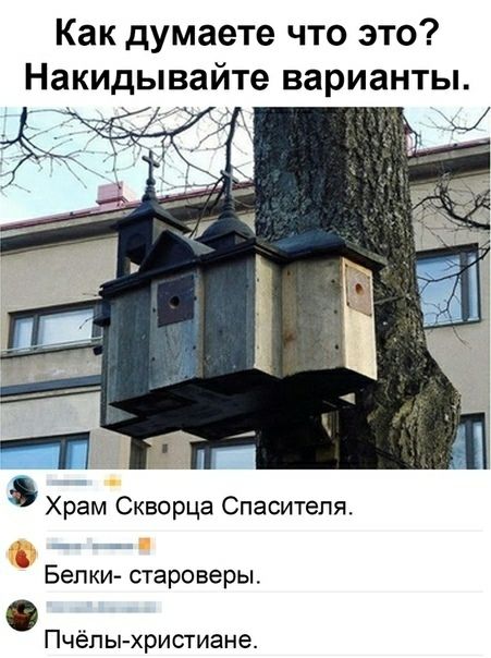 Как думаете что это Накидывайте варианты Храм Скворца Спасителя Белки староверы Пчёлы христиане