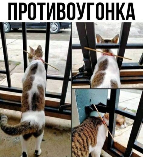 _ЗПРОТИЛВОУГОНКА