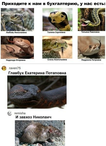 Приходит ним Бухгалперию у им вы М М мт главбух Екатерина Питяппния Б ютвПа И Завхоз Никепаич