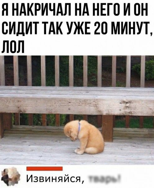 Я НАКРИЧАЛ НА НЕГО ИОН БИДИТ ТАК УЖЕ 20 МИНУТ ЛОЛ 4 Извиняйся