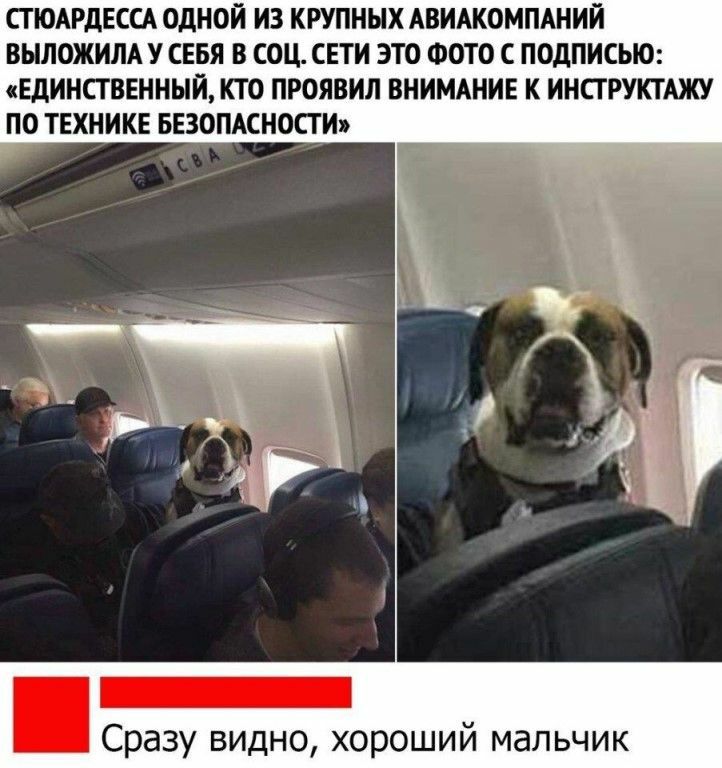 СГЮАРДЕССА ОДНОЙ ИЗ КРУПННХ АВИАКОМПАНИИ ВЫЛОЖИЛА У СЕБЯ В СОЦ СЕТИ ЭТО ФОТО С ПОДПИСЬЮ ЕДИНСТВЕННЫЙ КТО ПРОЯВИЛ ВНИМАНИЕ К ИНСТРУКТАЖУ ПО ТЕХНИКЕ БЕЗОПАСНОСТИ Сразу видно хороший мальчик