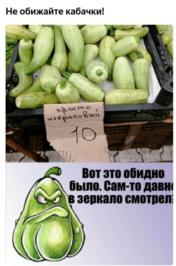 Не обижайте кабачки Вот это обидно было сам то дамп зеркало смотпопі