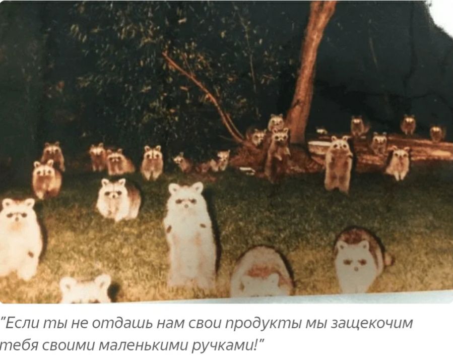 чп _ Если ты не отдашь нам свои продуюпы мы защекочим пебя своими маленькими ручками