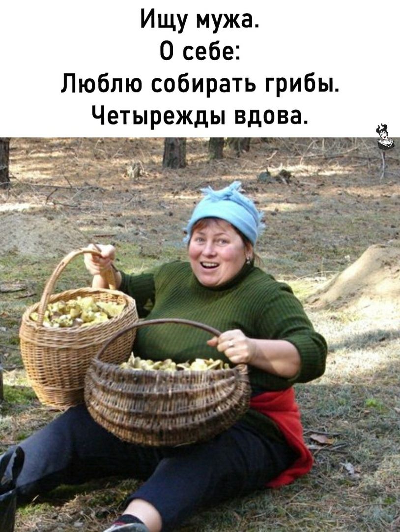Ищу мужа О себе Люблю собирать грибы
