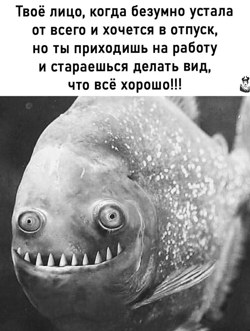 Твоё лицо когда безумно устала от всего и хочется в отпуск но ты приходишь на работу и стараешься делать вид что всё хорошо