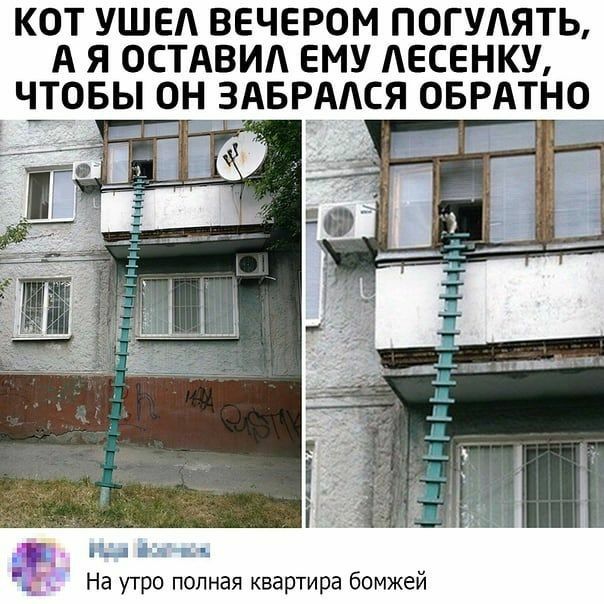 КОТ УШЕА ВЕЧЕРОМ ПОГУАЯТЬ А Я ОСТАВИЛ ЕМУ АЕСЕНКУ ЧТОБЫ ОН ЗАБРААСЯ ОБРАТНО На утро полная квартира бомжей