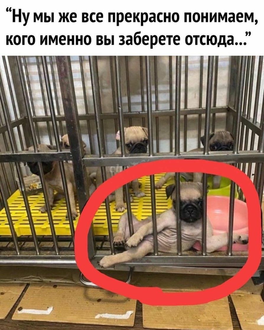 Ну мы же все прекрасно понимаем кого именно вы заберете отсюда