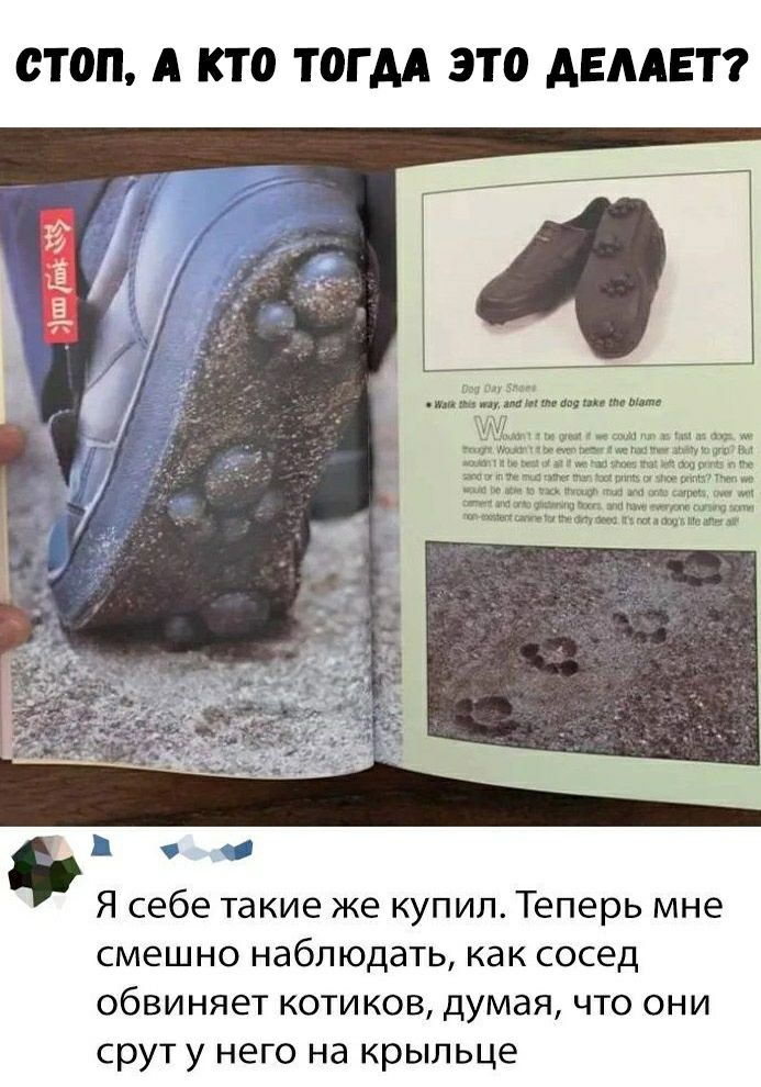 СТОП А кто ТОГДА ЭТ0 АЕААЕТ пм __ амиши ци _ _ м__ _ п_ 9 Я себе такие же купил Теперь мне смешно наблюдать как сосед обвиняет котиков думая что они срут у него на крыльце