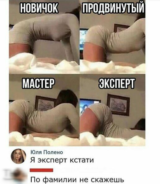 НОВИЧОК ПРПДВИНУТЫЙ МАСТЕР Юля Полено Я эксперт кстати По фамилии не скажешь