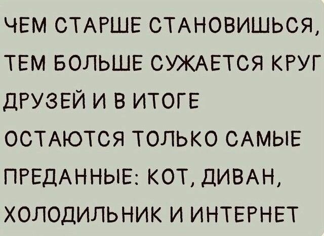 ЧЕМ СТАРШЕ ОТАНОВИШЬСЯ ТЕМ БОЛЬШЕ ОУЖАЕТСЯ КРУГ ДРУЗЕЙ И В ИТОГЕ ОСТАЮТСЯ ТОЛЬКО САМЫЕ ПРЕДАННЫЕ КОТ ДИВАН ХОЛОДИЛЬНИК И ИНТЕРНЕТ