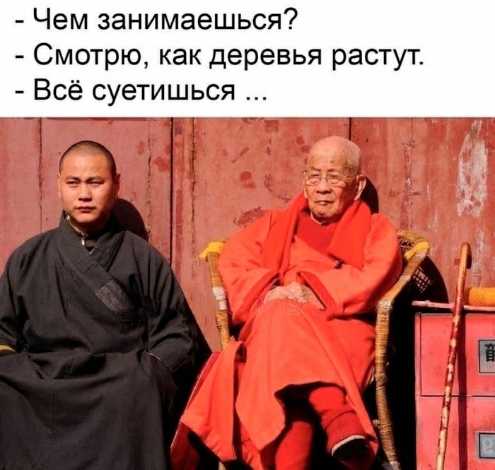 Чем занимаешься Смотрю как деревья растут Всё суетишься