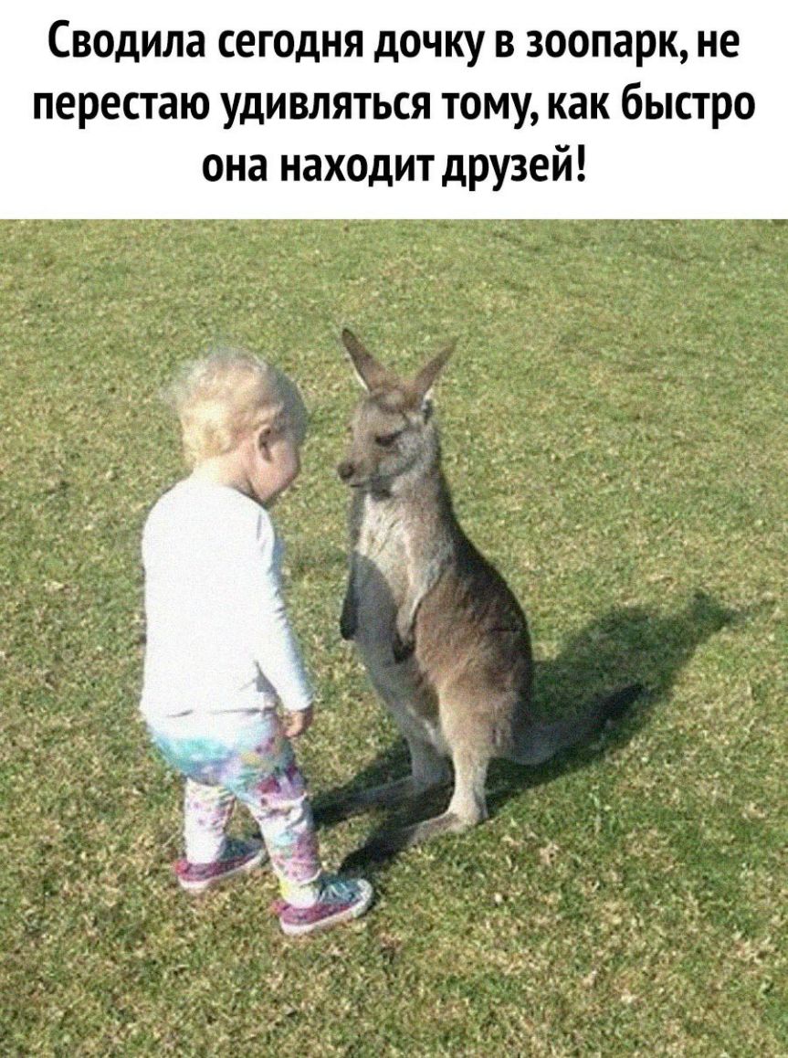 Сводила сегодня дочку в зоопарк не перестаю удивляться тому как быстро она находит друзей