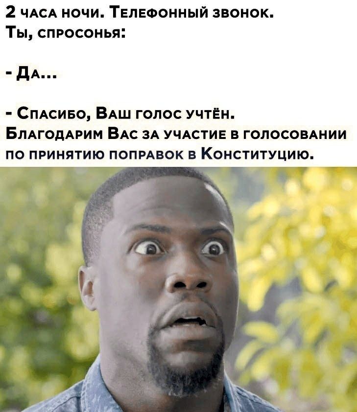 2 ЧАСА ночи Телефонный звонок Ты спросонья дА СПАсиво ВАш голос учтён БЛАГОДАРИМ ВАС ЗА учдстие в голосоынии по принятию попмвок в Конституцию