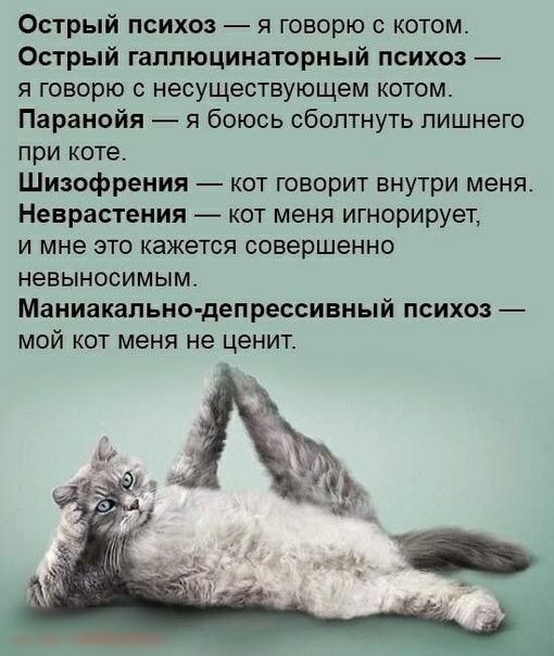Острый психоз я говорю с котом Острый гаппюцинаторный психоз я говорю несуществующем котом Паранойя я боюсь сбоптнуть лишнего при коте Шизофрения кот говорит внутри меня Неврастения кот меня игнорирует и мне это кажется совершенно невыносимым Маниакальио депрессивный психоз мой кот меня не ценит