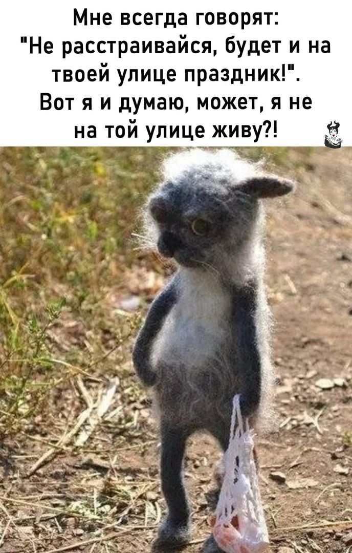 Мне всегда говорят Не расстраивайся будет и на твоей улице праздник Вот я и думаю может я не на той улице живу