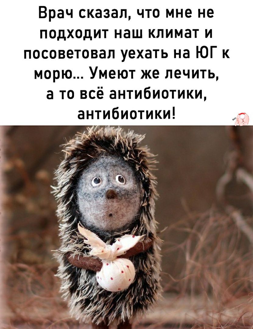 Врач сказал что мне не подходит наш климат и посоветовал уехать на ЮГ к морю Умеют же лечить а то всё антибиотики антибиотики