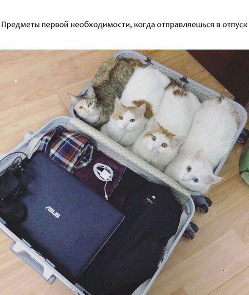 Предметы первой необходимопи когда отпрвкатеплые в от