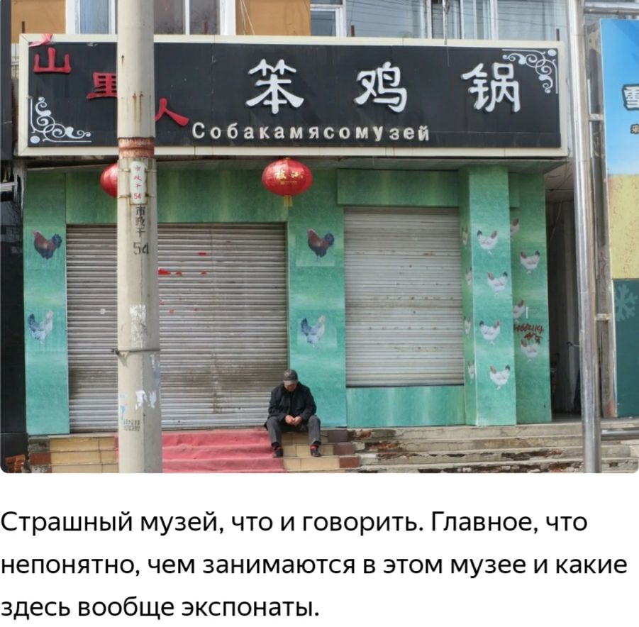 Ж 35 СобакамясоМУЗей Страшный музей что и говорить Главное что непонятно чем занимаются в этом музее и какие ЗДЕСЬ вообще ЭКСПОНЭТЫ