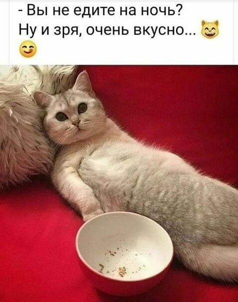 Вы не едите на ночь Ну и зря очень вкусно