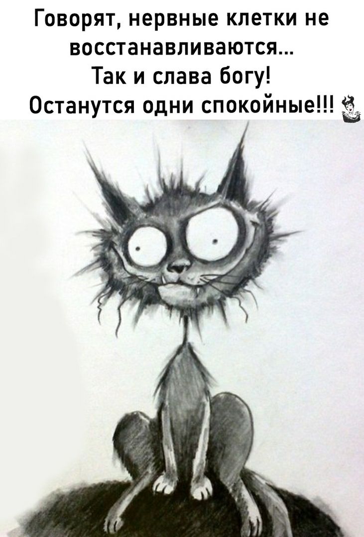 Говорят нервные клетки не восстанавливаются Так и слава богу Останутся одни спокойные