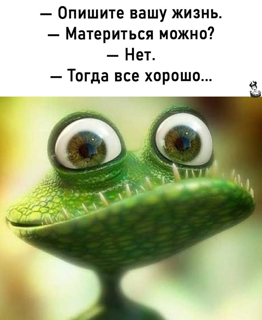 Опишите вашу жизнь Материться можно Нет Тогда все хорошо