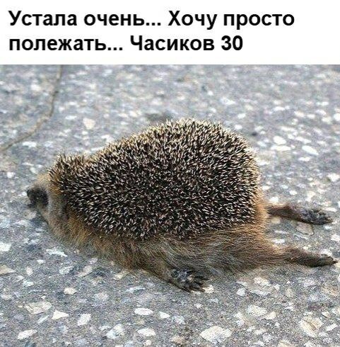 Устала очень Хочу просто полежать Часиков 30