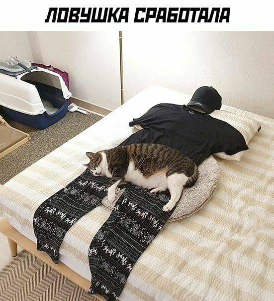 ЛПВНШКД ВРДЕПТдЛд
