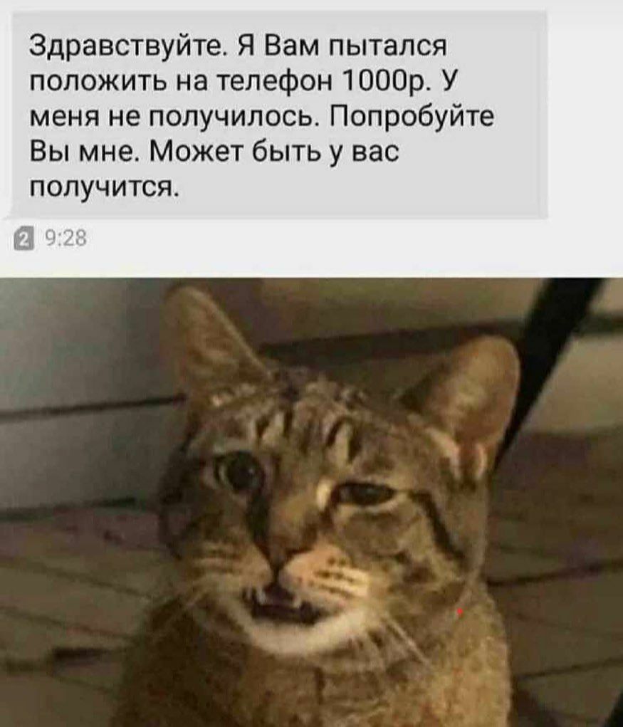 Здравствуйте Я Вам пытался положить на телефон 1000р У меня не получилось Попробуйте Вы мне Может быть у вас получится