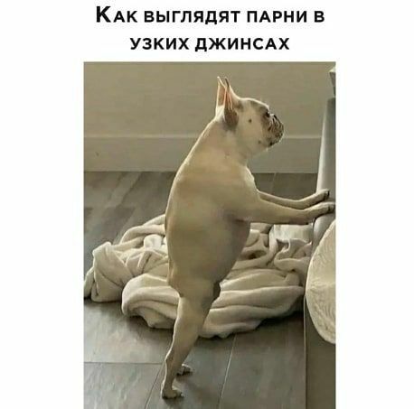 КАК ВЫГПЯПЯТ ПАРНИ В УЗКИХ ПЖИНСАХ