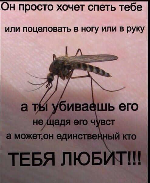 Он просто хочет спеть тебе или поцеловать в ногу или в руку