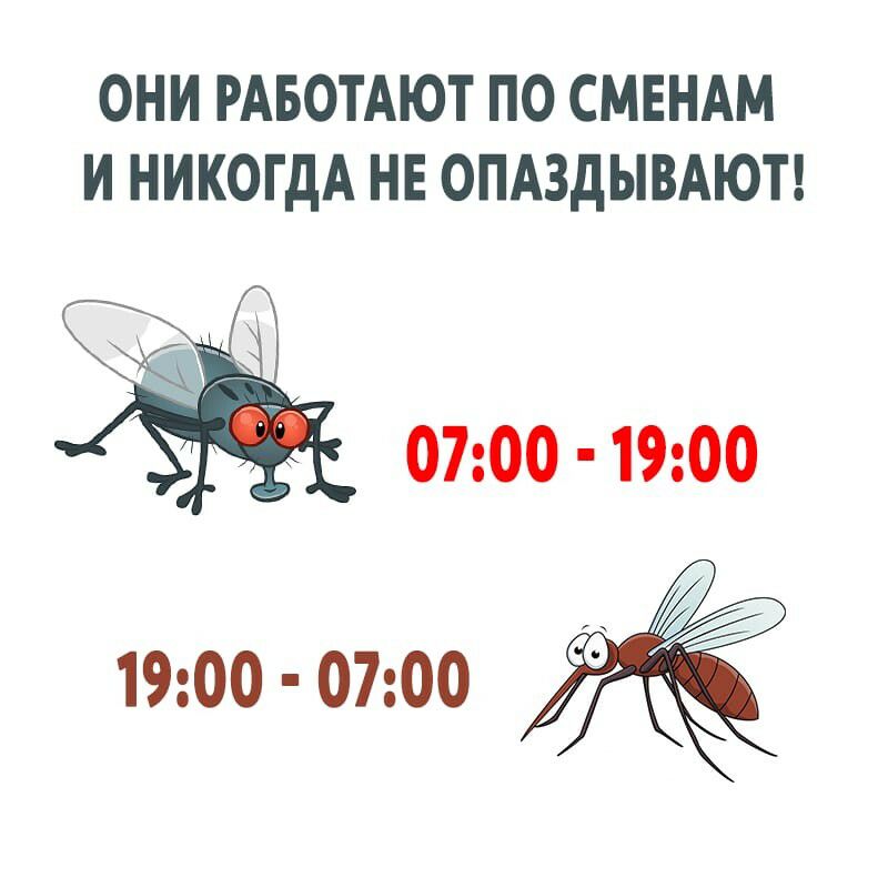 ОНИ РАБОТАЮТ ПО СМЕНАМ И НИКОГДА НЕ ОПАЗДЫВАЮТ 0700 1900 1900 0700