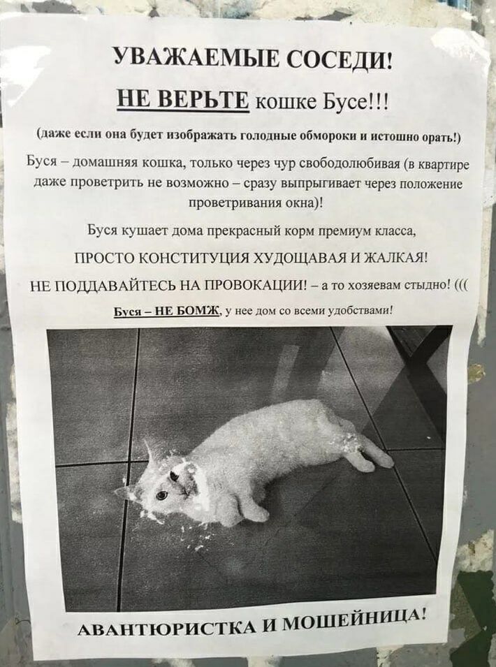 к_ А _ УВАЖАЕМЫЕ СОСЕДИ НЕ ВЕРЬТЕ кошке Бусе Анже если она будет изображать голодные обмороки ппошип врать Буся домашняя кошка только через чур свободолюбивая в квашире даже ПРОВВТРИТЬ не ВОЗМОЖНО Сразу ВЫПРЫГНВЗСТ через ПОЛОЖЕНИЕ проветривания окна Буся кушает дома прекрасный корм премиум масса ПРОСТО КОНСТИТУЦИЯ ХУДОШАВАЯ И ЖАЛКАЯ НЕ ПОЦДАВАЙТЕСЬ НА ПРОВОКАЦИИ а то хозяевам стыдно в _ нв Бомж у 