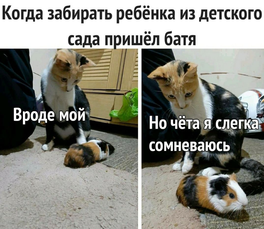 Когда забирать ребёнка из детского сада прищёл батя 7__