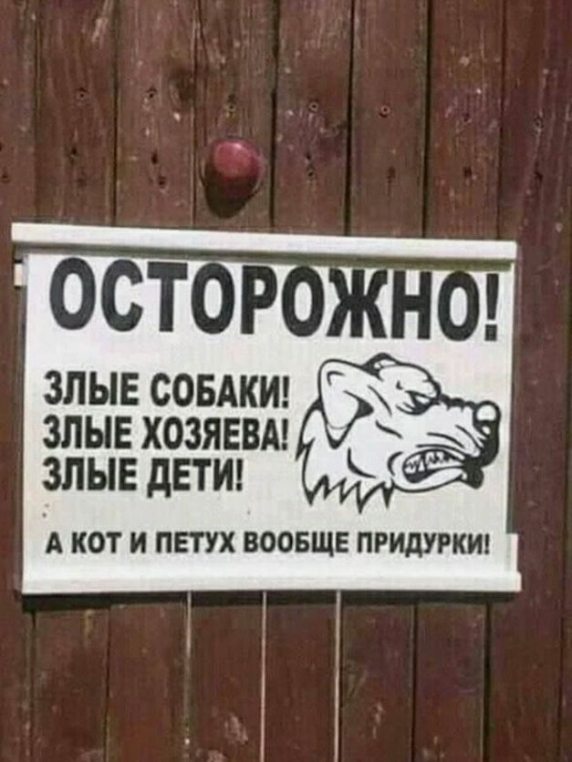 злые СОБАКИ _ зпывхозяввм злывдвти А КОТ И ПЕТУХ ВООБЩЕ ПРИДУРКИ