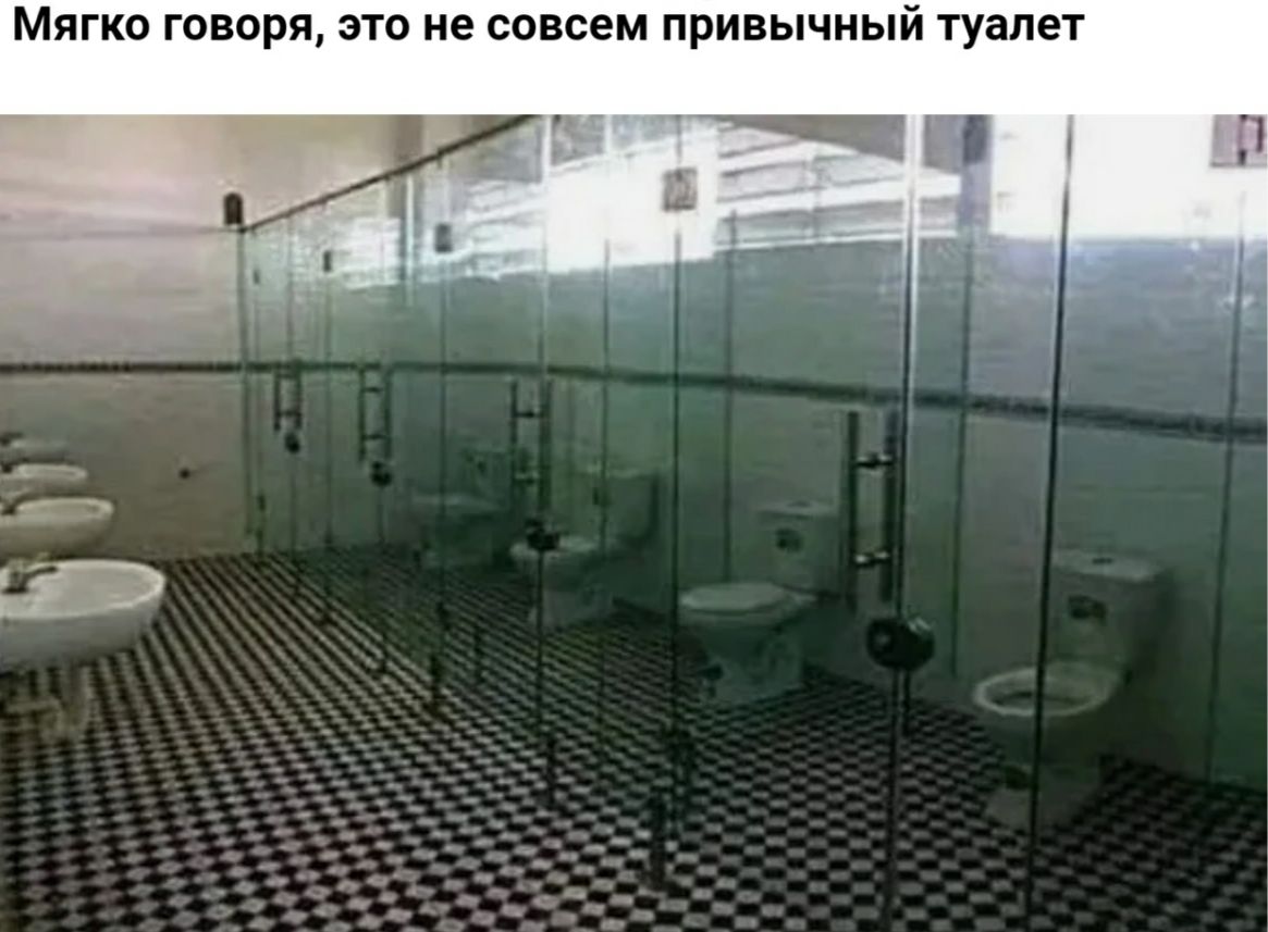 МЯГКО ГОВОРЯ ЭТО не совсем ПРИВЫЧНЫЙ туалет