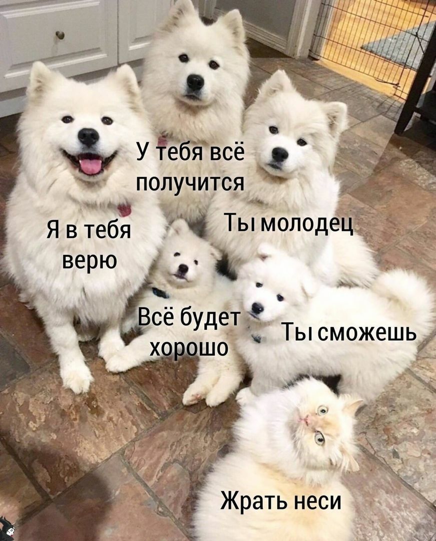5 УЁбЁвсё _ с получитСя Ты молодеджі _ _ д се бУдЁТ Ты сможешь