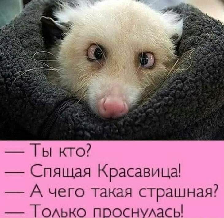 Ты кто Спящая Красавица А чего такая страшная ТОАько пооснмась