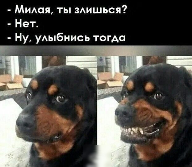 Митя ты мишься Нет Ну уАыбнись тогда