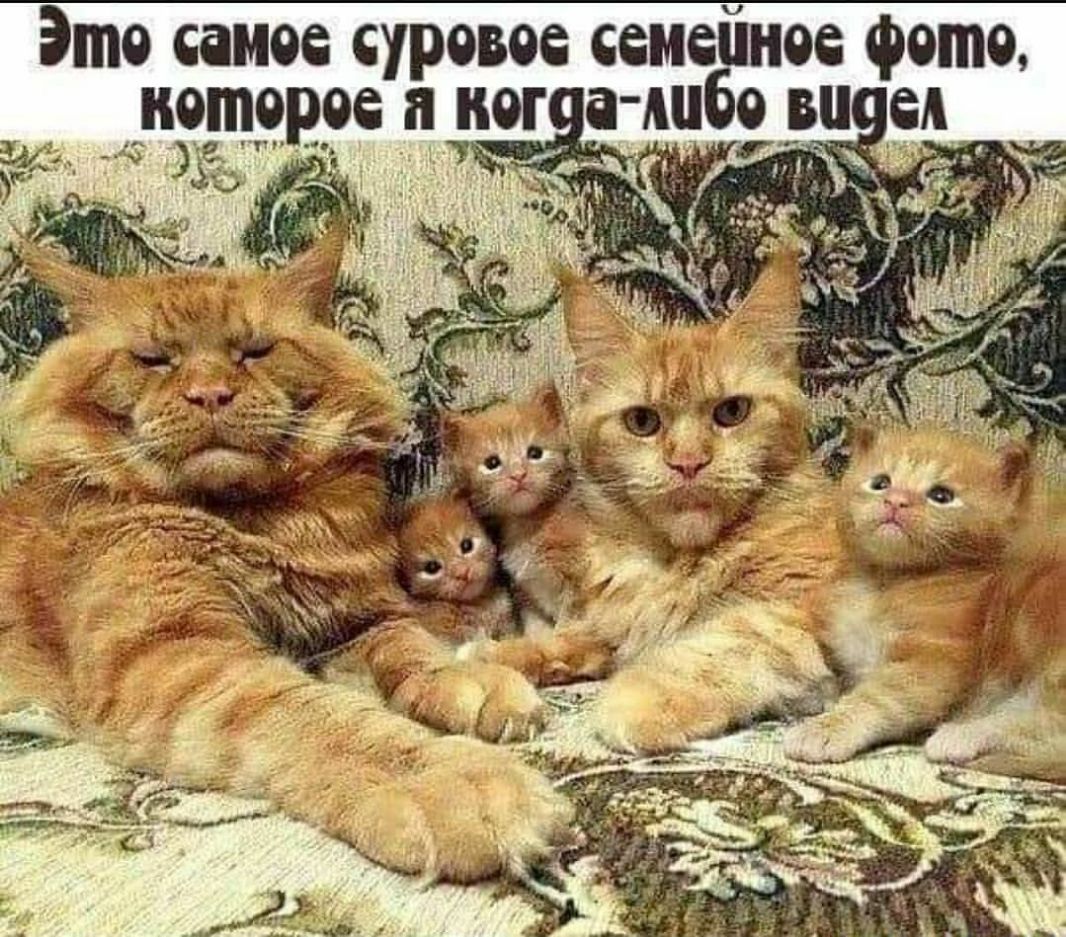 Это самое суровое семейное фото