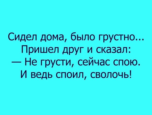 Сидел дома было грустно Пришел друг и сказал Не грусти сейчас спою И ведь споил сволочь