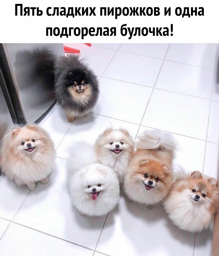 Пять сладких пирожков и одна