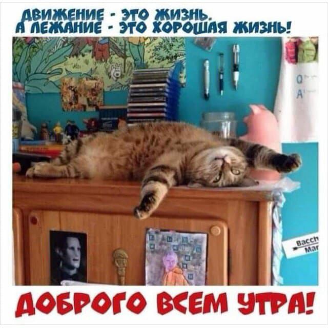 давит кем этиш
