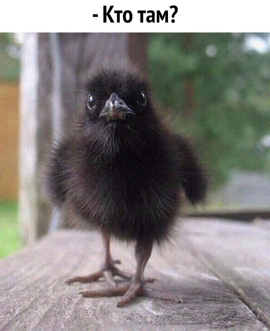 Кто там